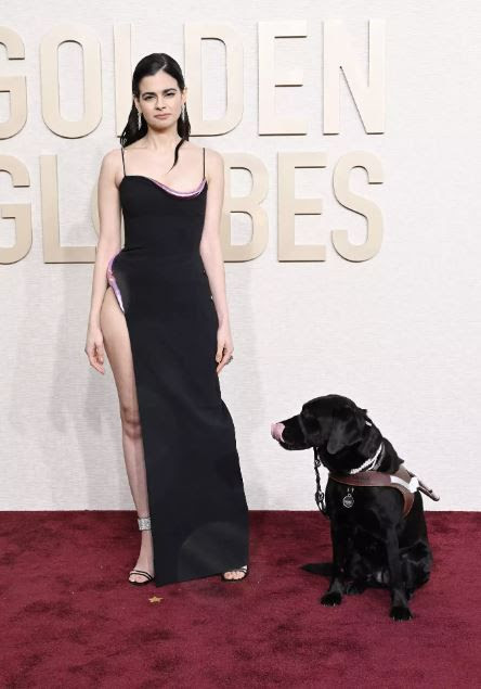 'All the Light We Cannot See' star strolls the Golden Globes red carpet with guide dog