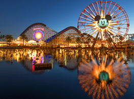 Disney Fans Are Pushing Back on New Disability Access Restrictions