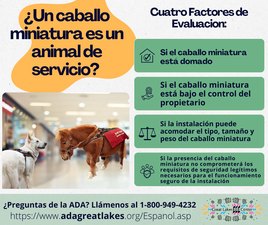 Sabias que caballos miniatura pueden ser considerados un animal de servicio bajo la ADA. Para más información acerca de animales de servicio puede visitar el siguiente enlace
