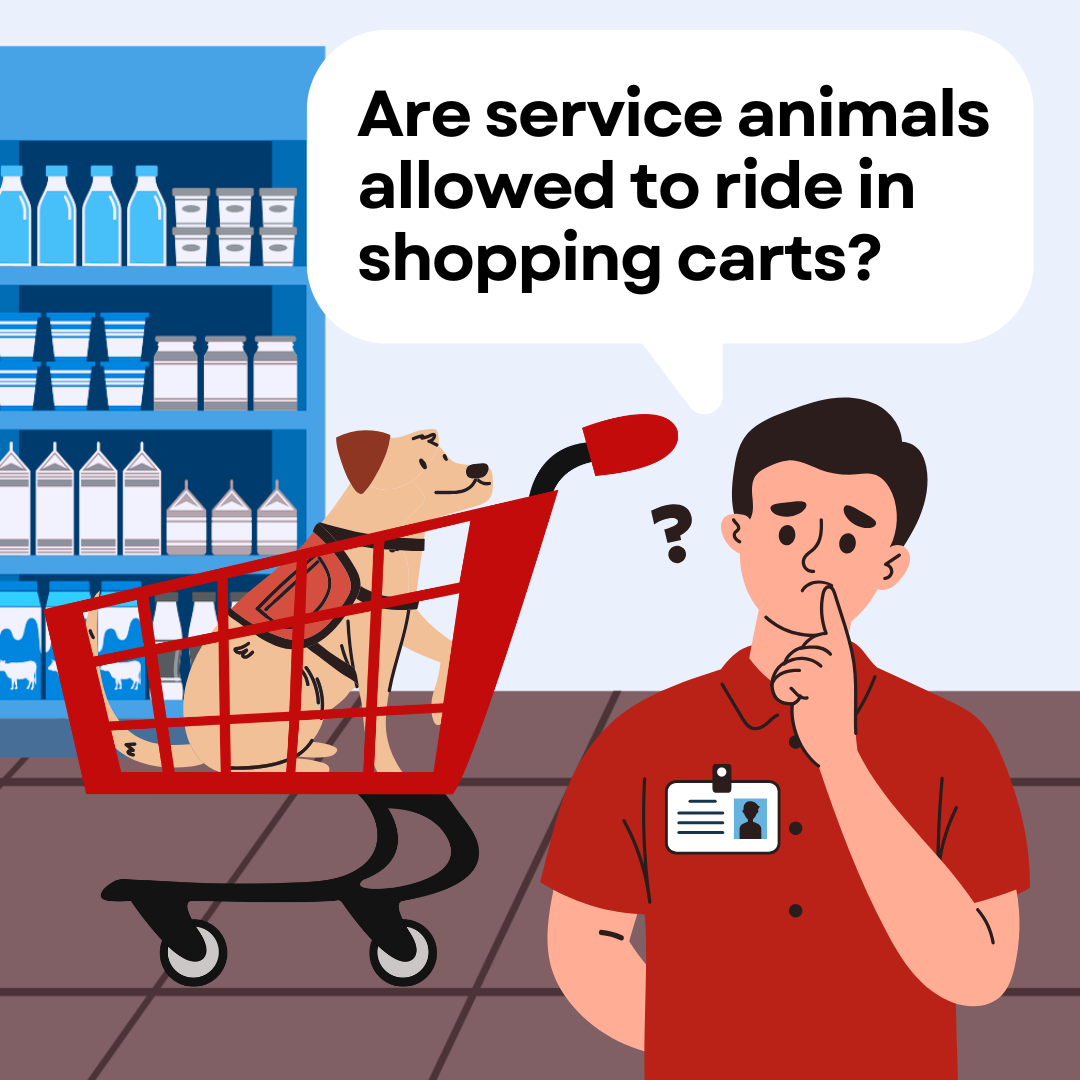 A dog wearing a vest sits in a shopping cart in front of the frozen food section of a grocery store while an employee watches, looking concerned.
