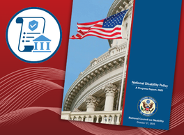 Screenshot of the front page of the National Council on Disability's 2025 Progress Report next to a graphic symbolizing a legal policy document.